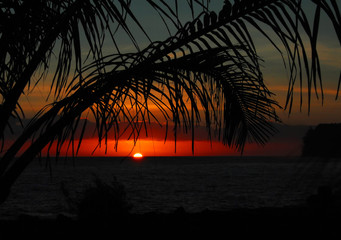 勇士交易风云：库明加与维金斯的“回家”猜想